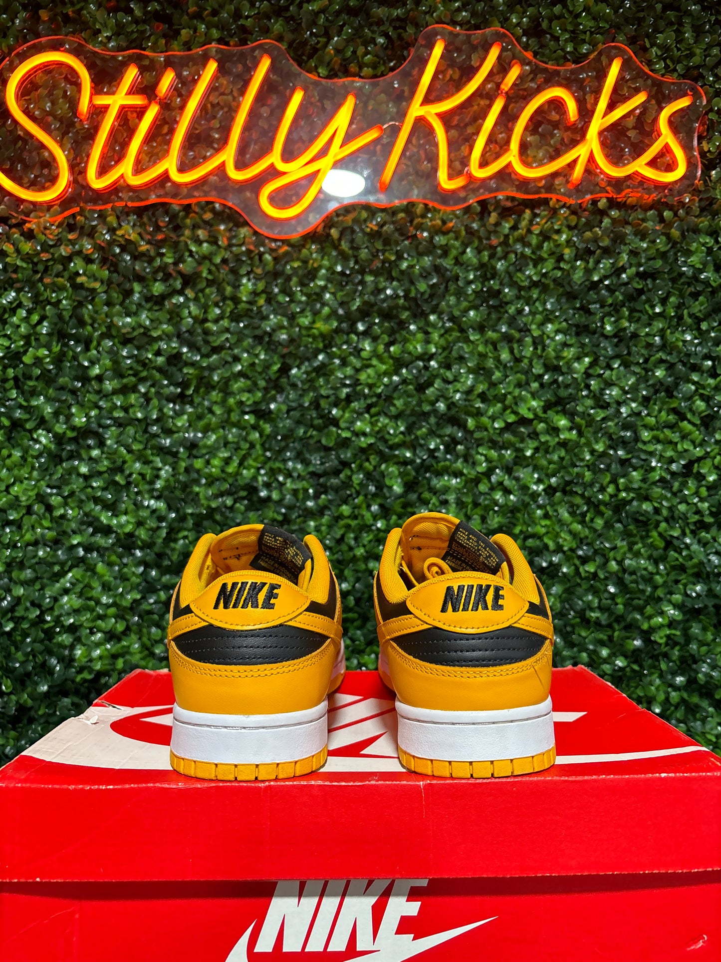 Size 10 - Dunk Low “Golden Rod”