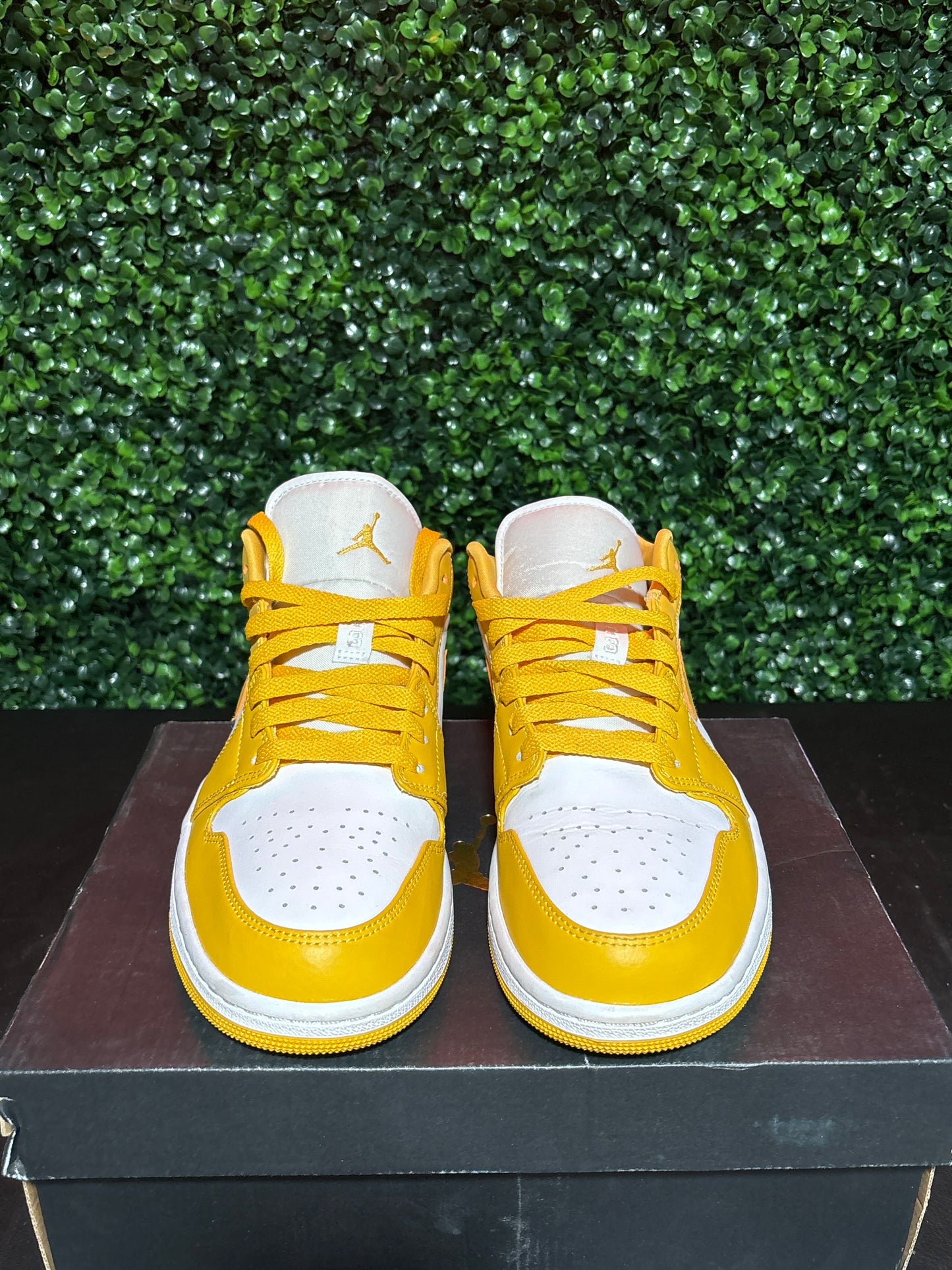 Size 10 - Jordan 1 Low “Pollen”