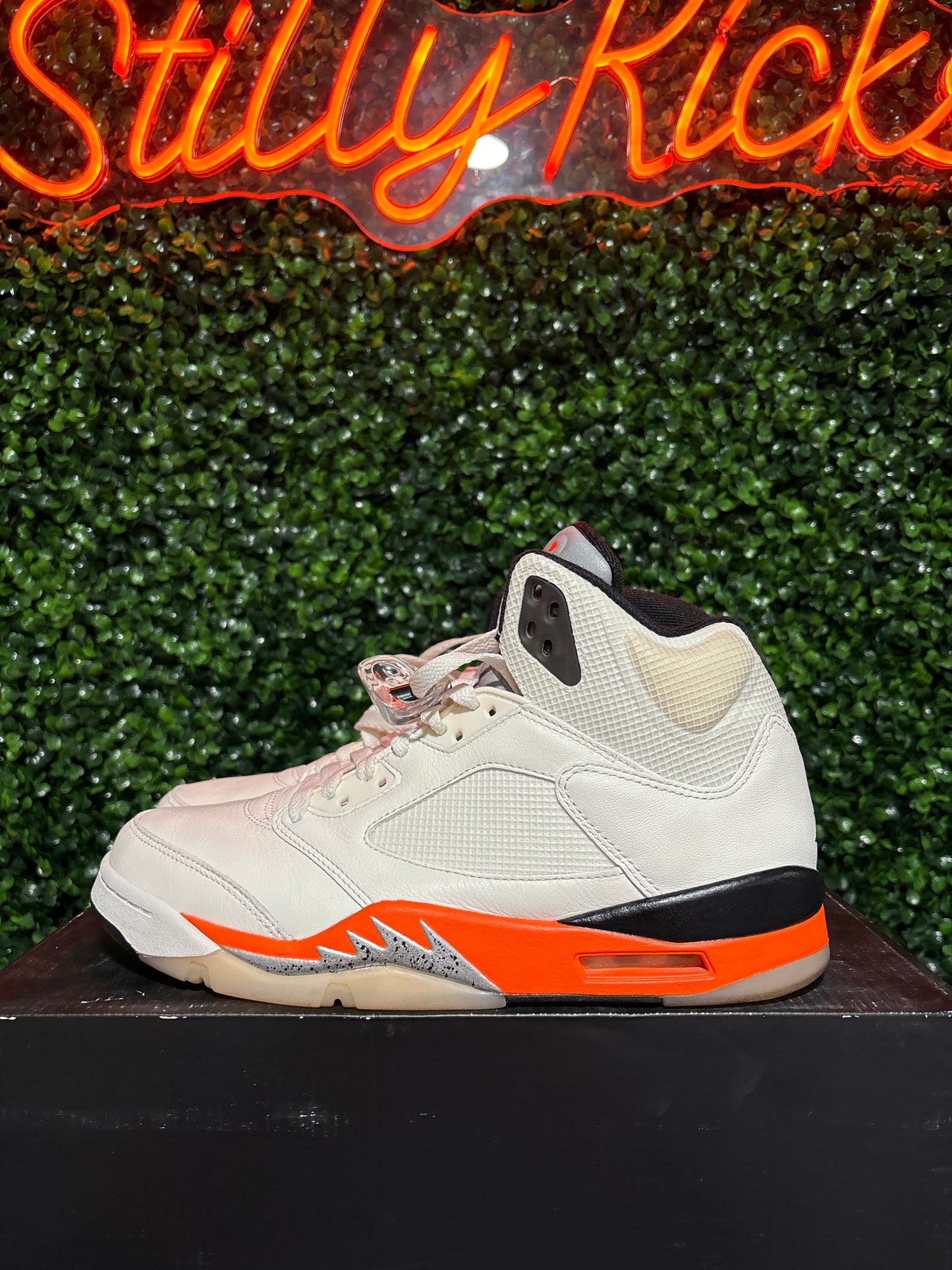 Size 9.5 - Jordan 5 “SBB”