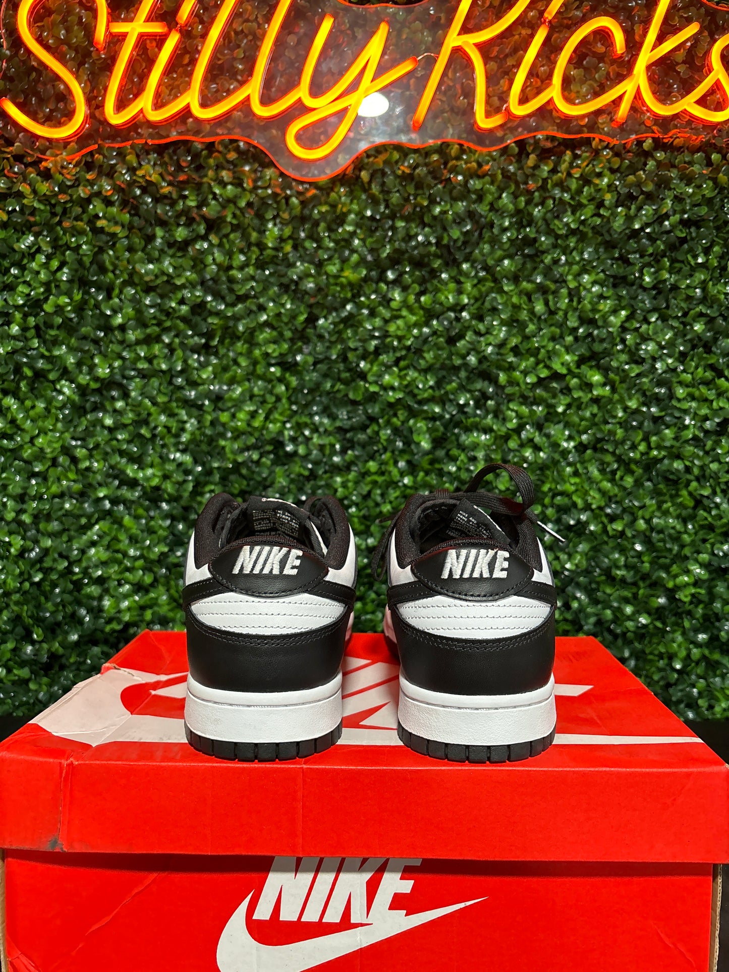 Size 10.5 - Dunk Low “Panda”