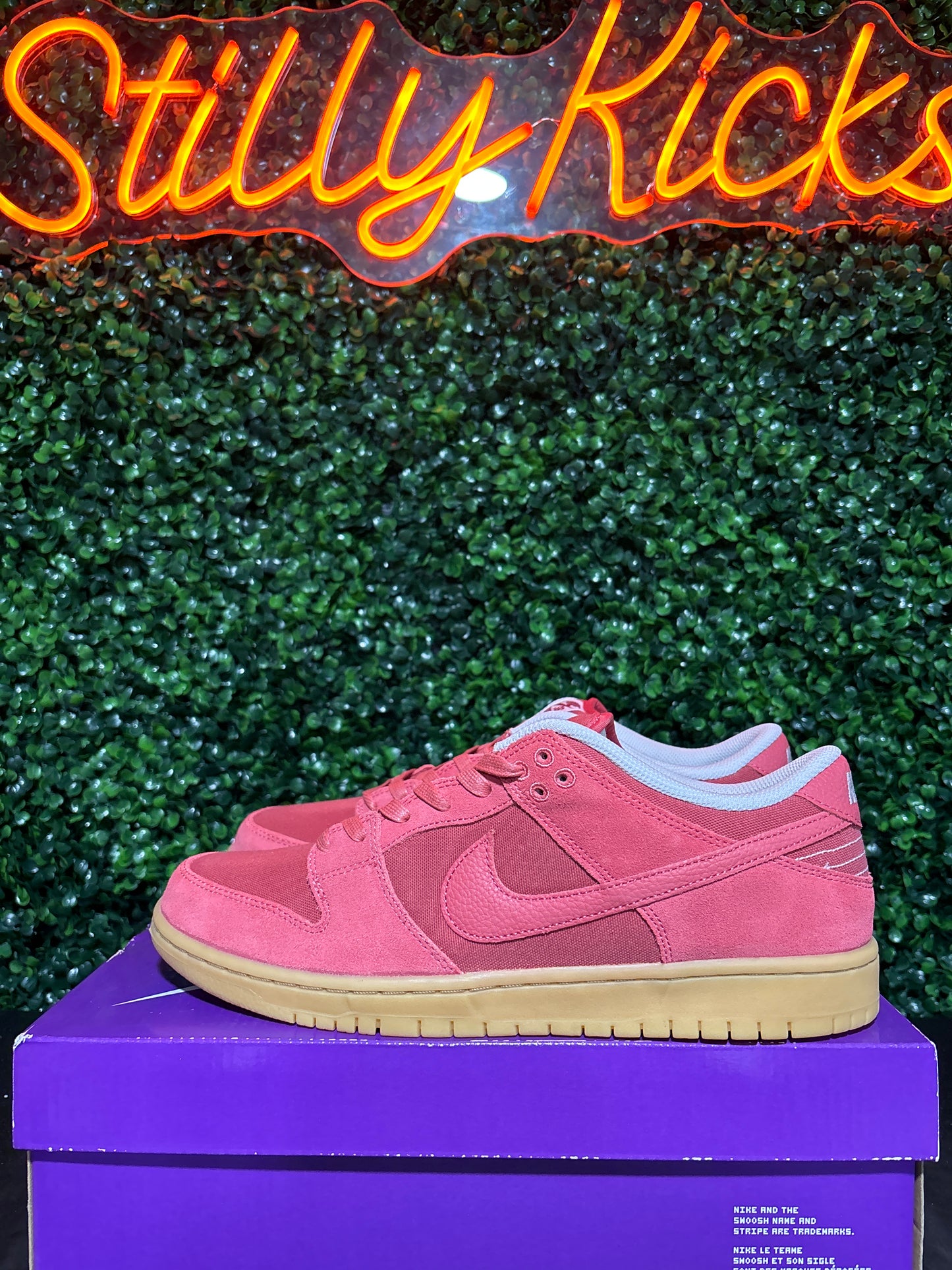 Size 11 - Sb Dunk Low “Adobe”