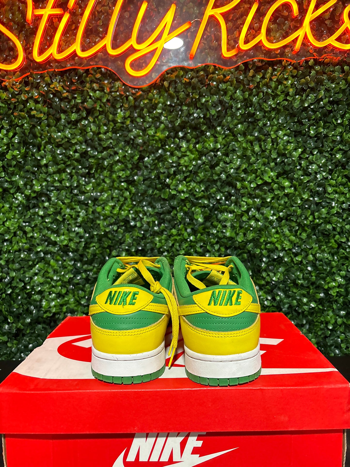 Size 11 - Dunk Low “Reverse Brazil”