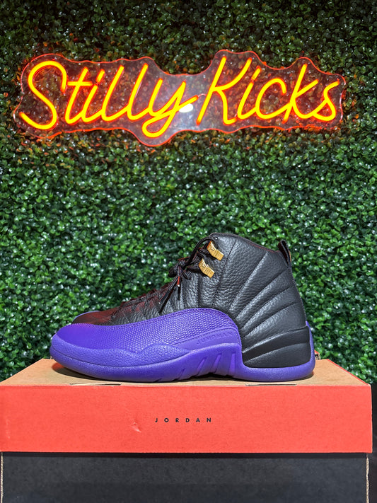 Size 9 - Jordan 12 “Field Purple”