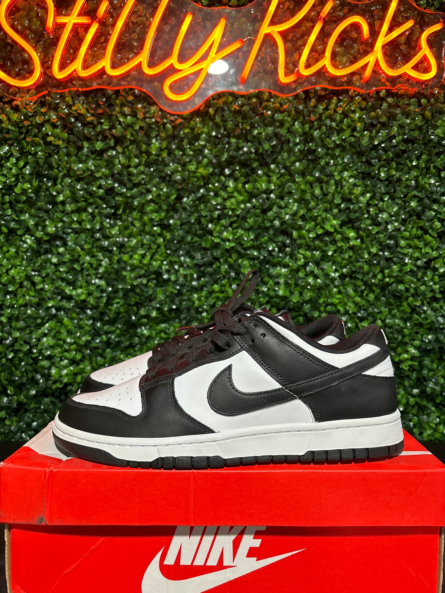 Size 10.5 - Dunk Low “Panda”