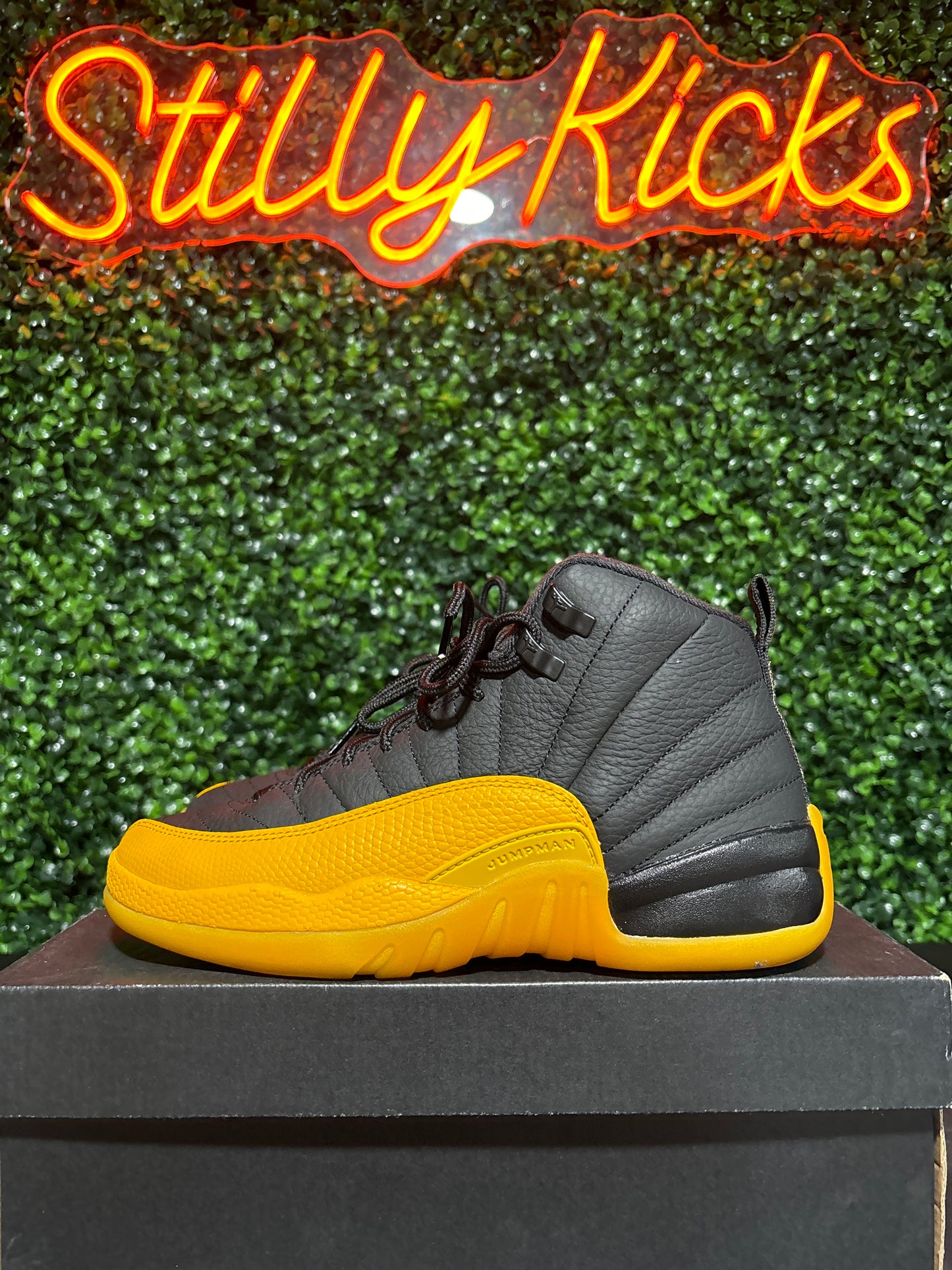 Size 6.5y - Jordan 12 “University Gold”